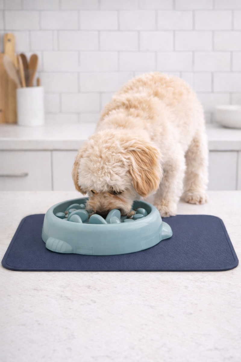 The Safer Way to Stop Choking, Bloating, and Stressful Mealtimes