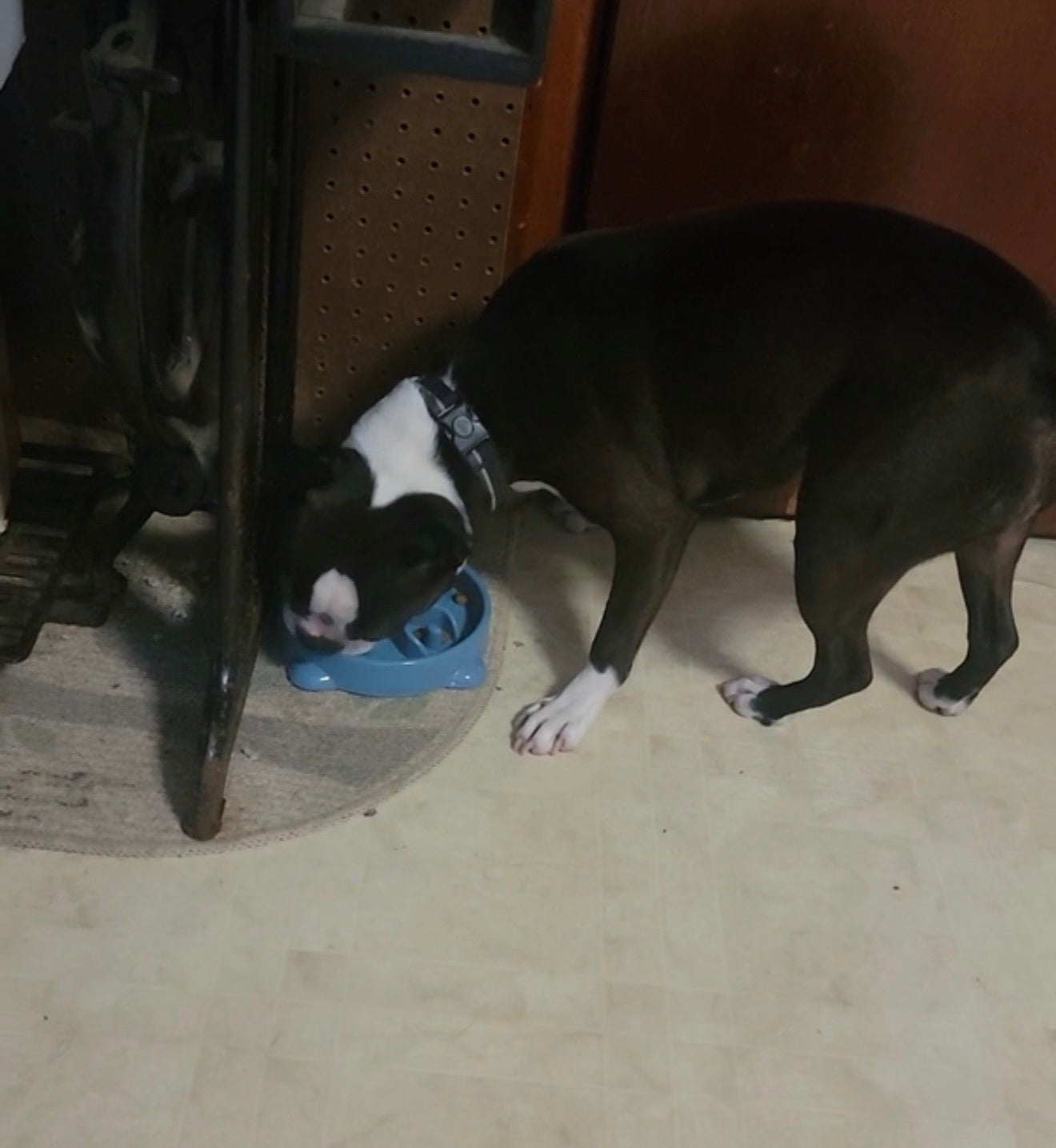 Review by Giovanni C